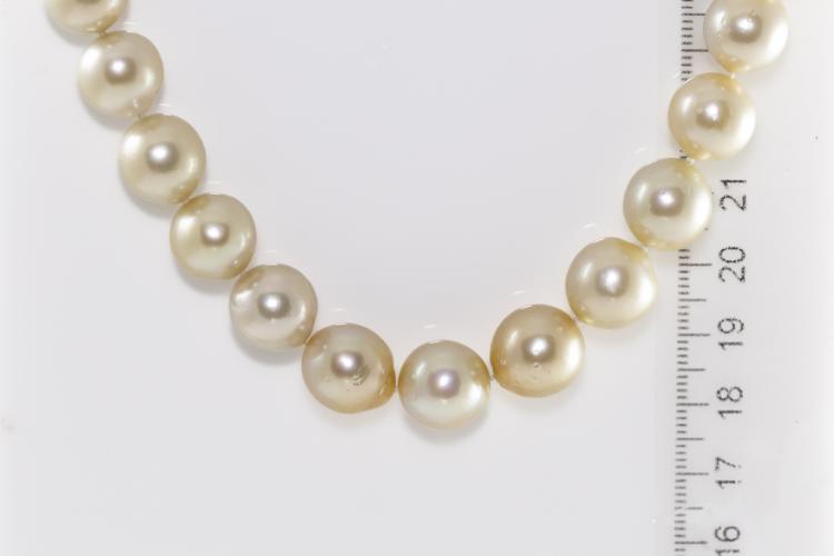 8mm Cultured South Sea Pearl Strand (19 in)