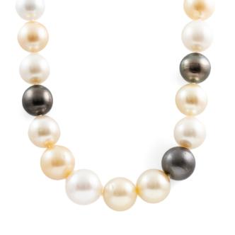 15.23-11.7mm Autore Pearl Necklace