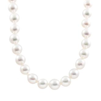 10.7-8.6mm Autore South Sea Pearl Necklace