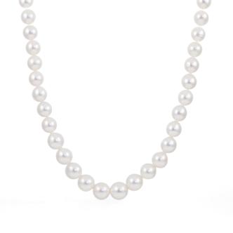 13.1-10.0mm Autore SS Pearl Necklace